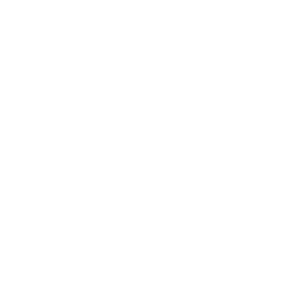 Logo Programa Janos